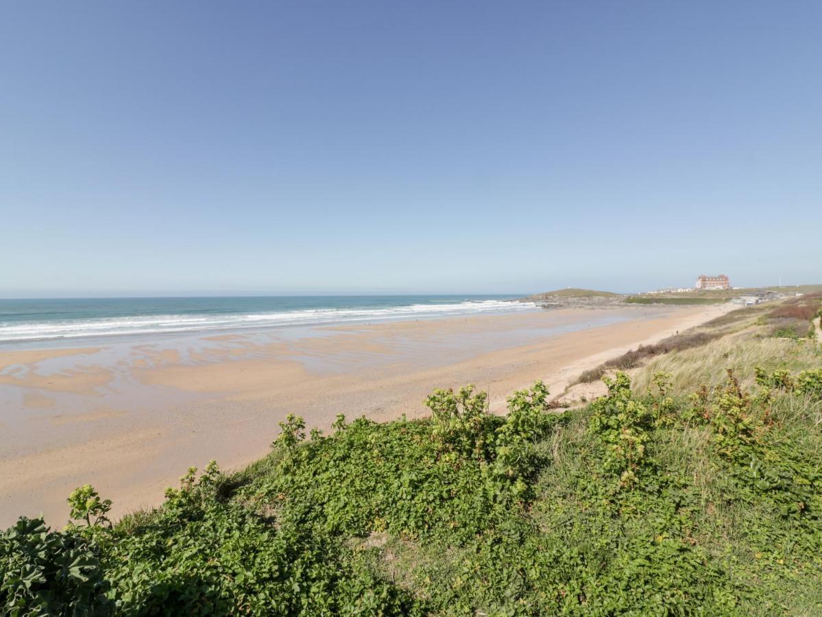 Fistral Pearl Leilighet New Quay Eksteriør bilde